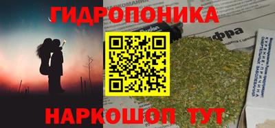крисы Дубна