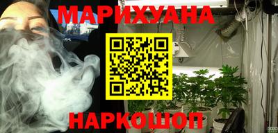 крисы Дубна