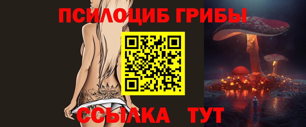 Галлюциногенные грибы Psilocybe  Вход с VPN  Лесной 
